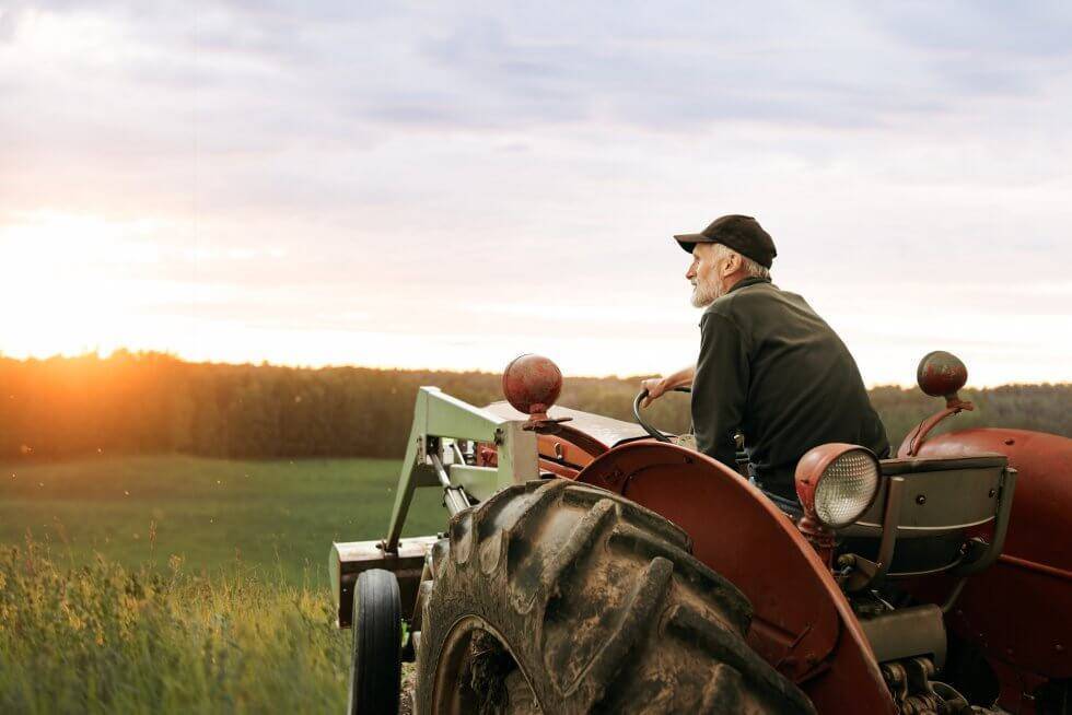 Elderly farmer sitting on a red tractor, looking out over a green field at sunset.