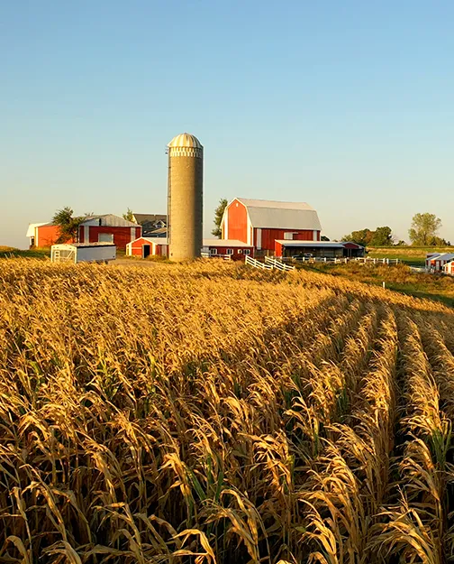 iowa farm